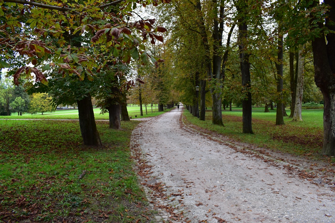 Tivoli Park's tree-lined avenues offer a quiet escape a short walk from the Old Town.