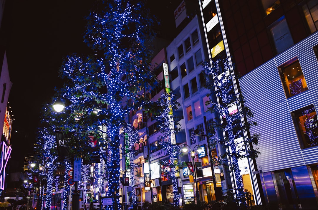 Tokyo's Winter Illuminations, Marunouchi and Roppongi