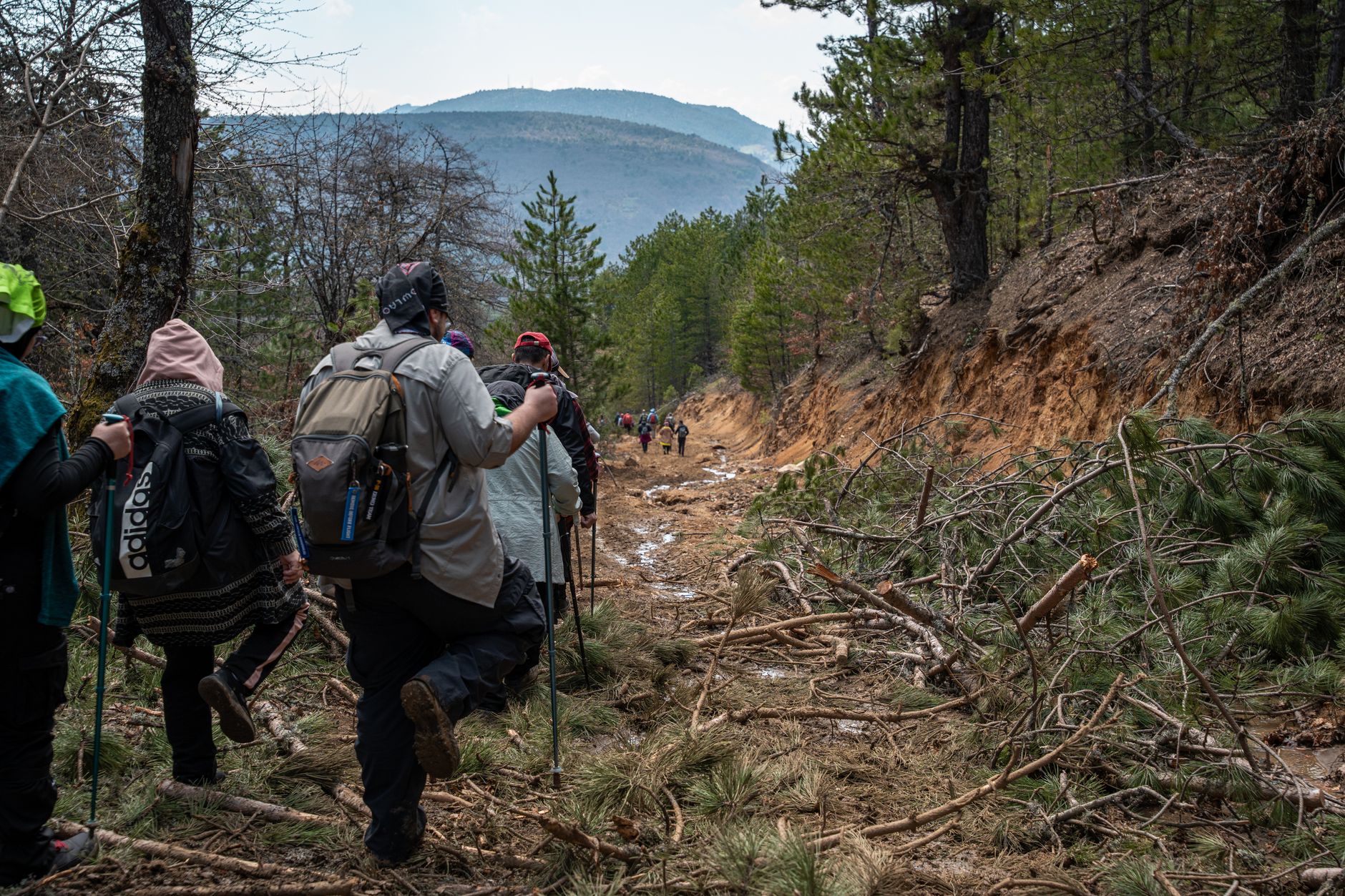 Trekkers make their way up a steep, forested slope in the Rushaga sector.