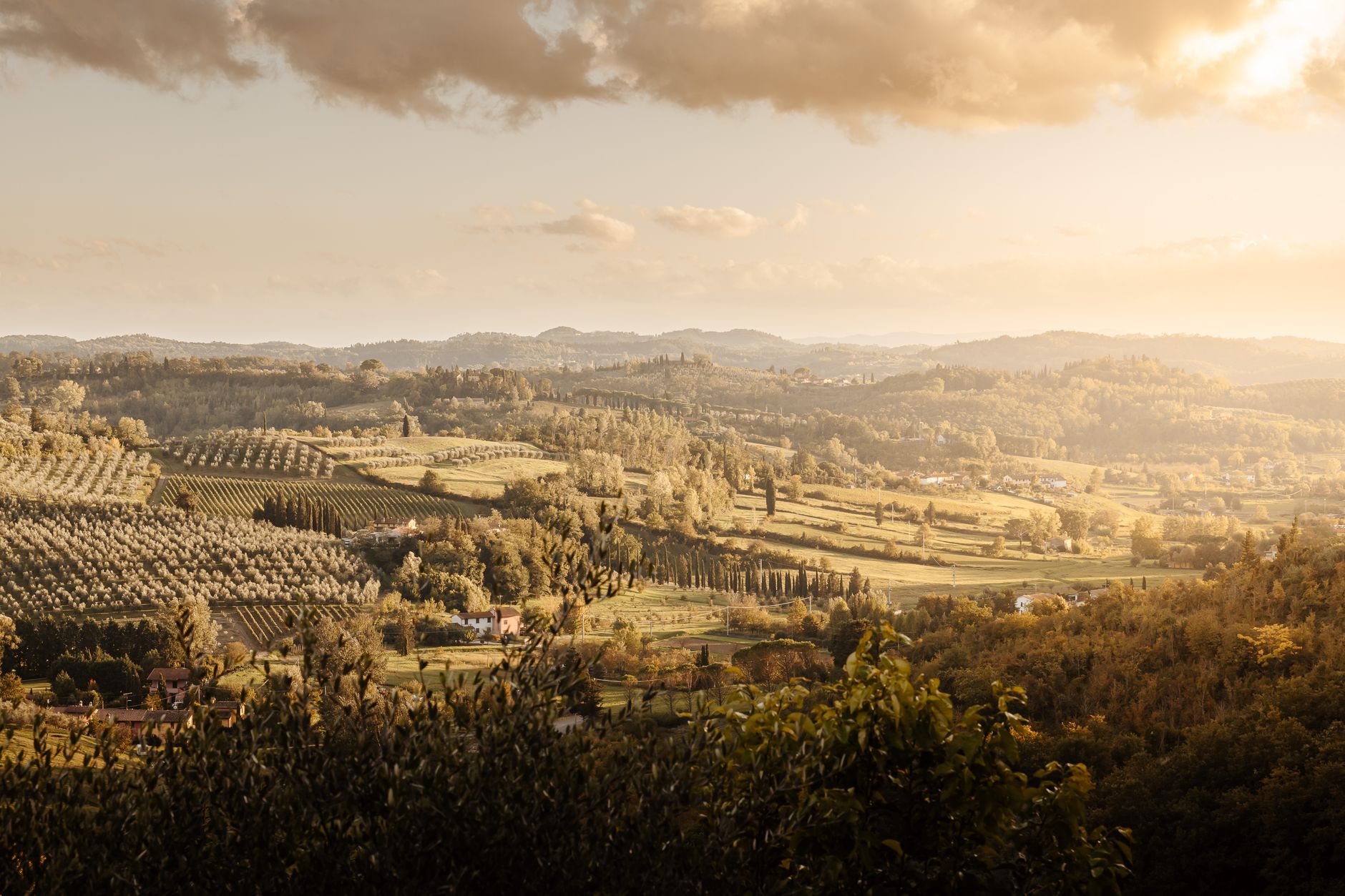 Arrival and Welcome Aperitivo Among the Vines