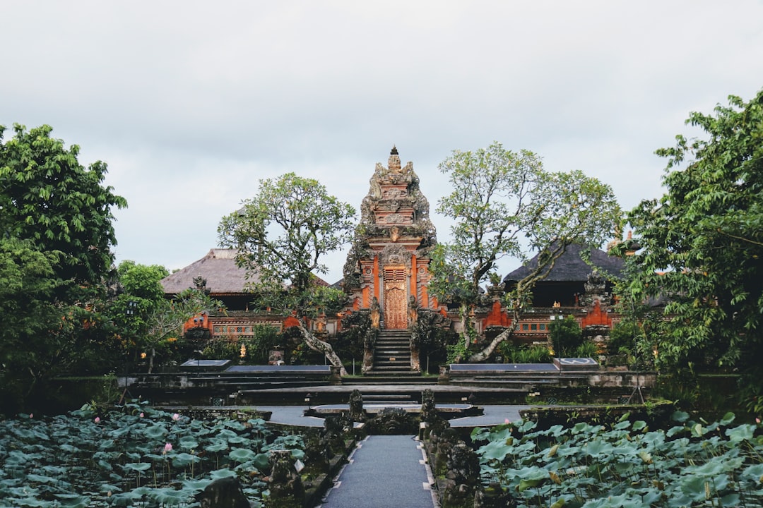 Ubud: Culture, Rice Terraces, and Sacred Springs