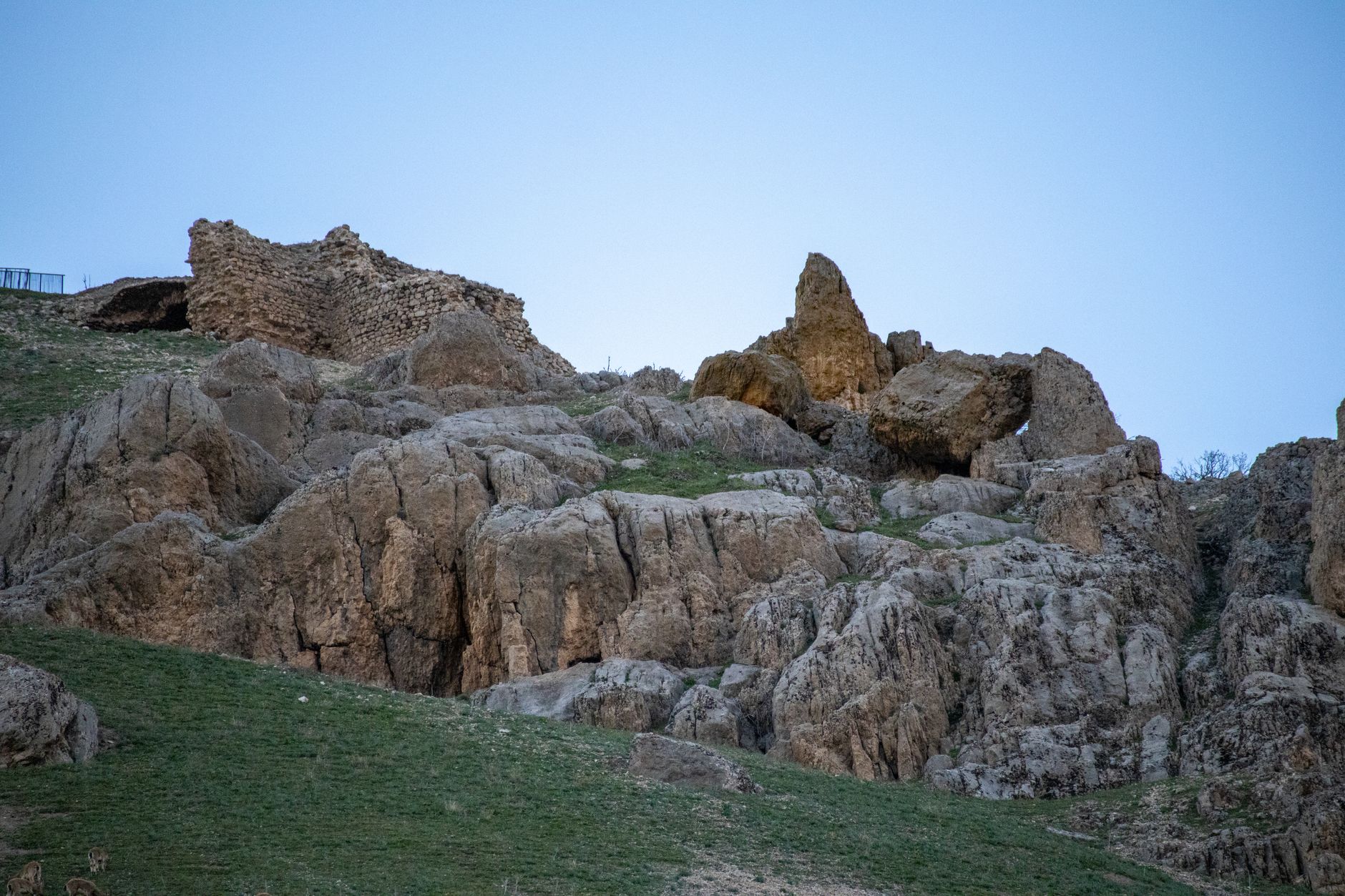 Gur-e-Amir, Shah-i-Zinda, and the Astronomer's Legacy
