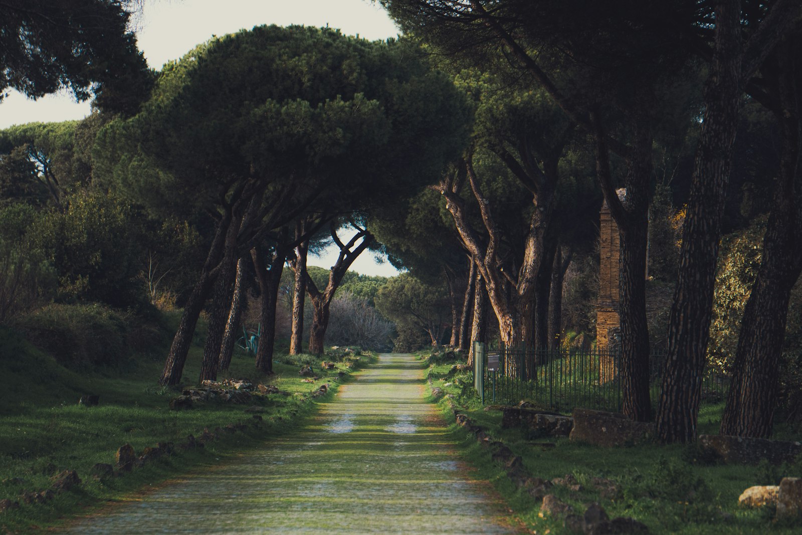 Rome's Appian Way: Catacombs, Tombs and the First Roman Milestones