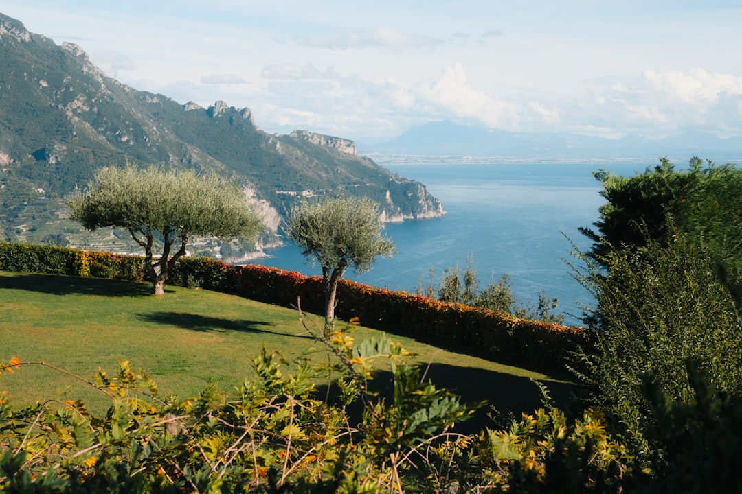 Villa Rufolo's terraced gardens in Ravello, with the sea framed between umbrella pines.