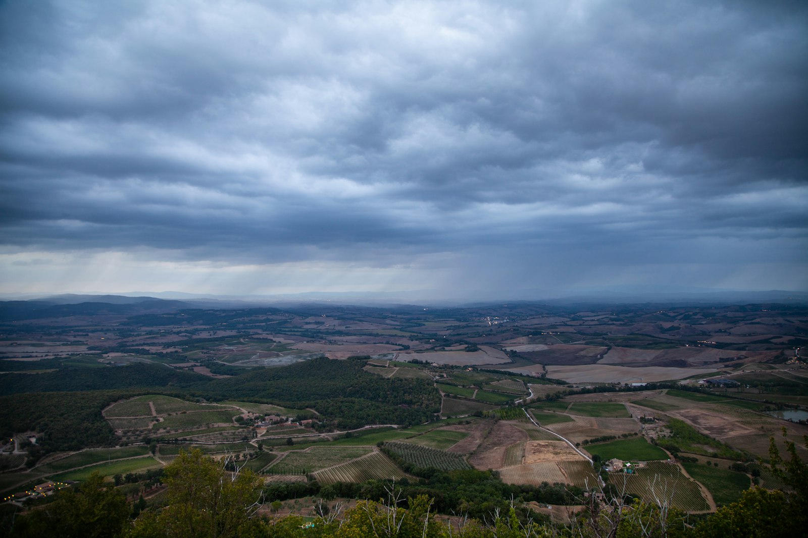 Vine rows on the Montosoli hill, home to several small, appointment-only Brunello growers.