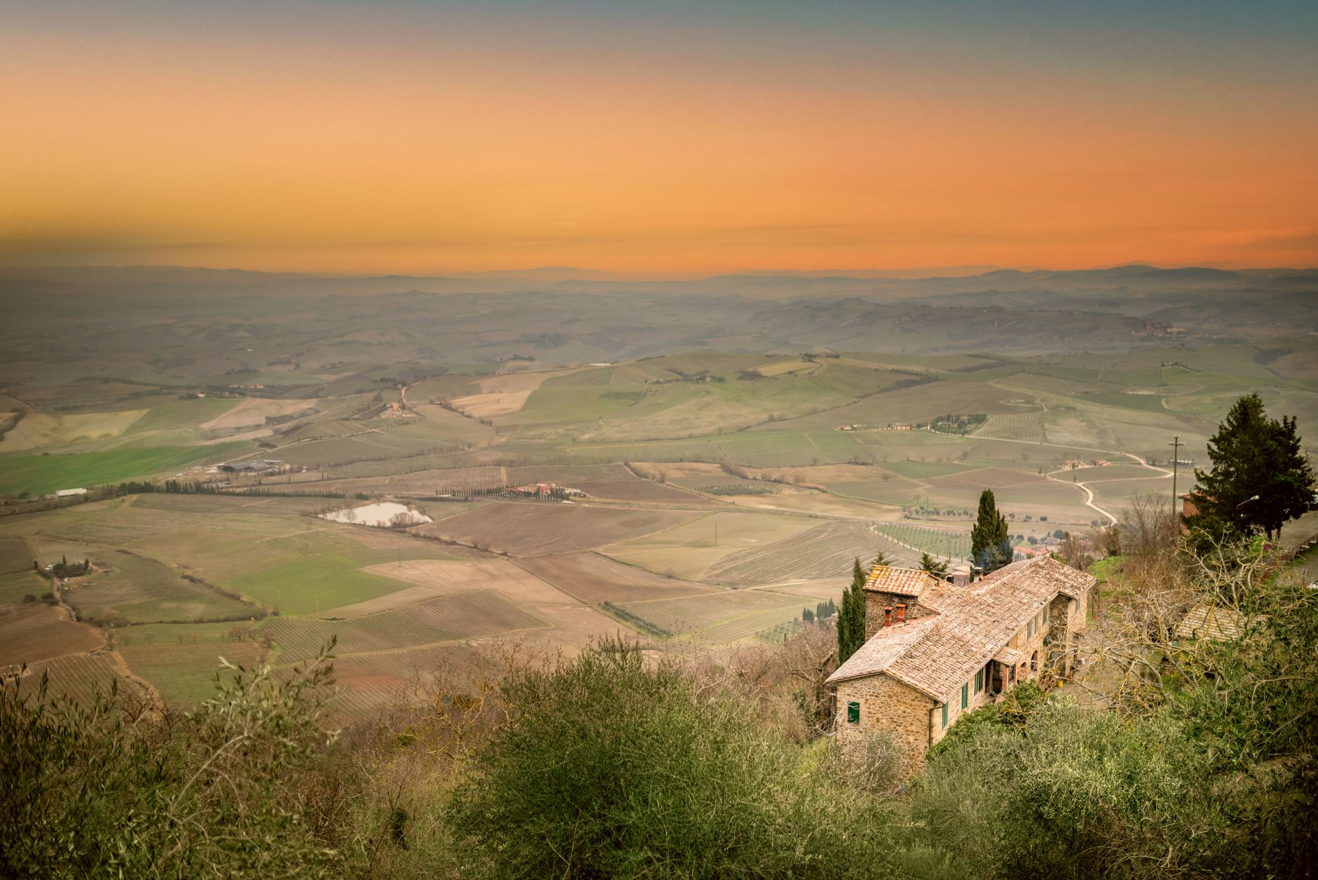 Vineyard rows near Montalcino, where Sangiovese grapes for Brunello di Montalcino ripen through September.