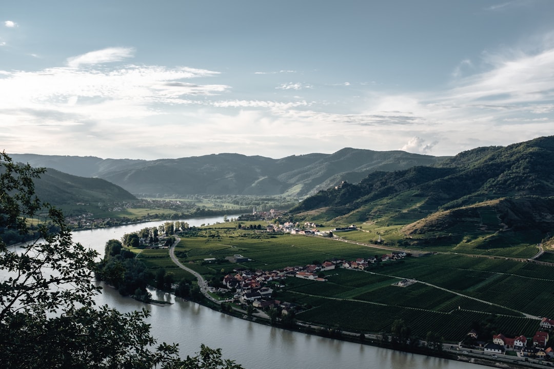 Vineyard terraces and a ruined hilltop castle overlooking the Danube River in the Wachau Valley, Austria