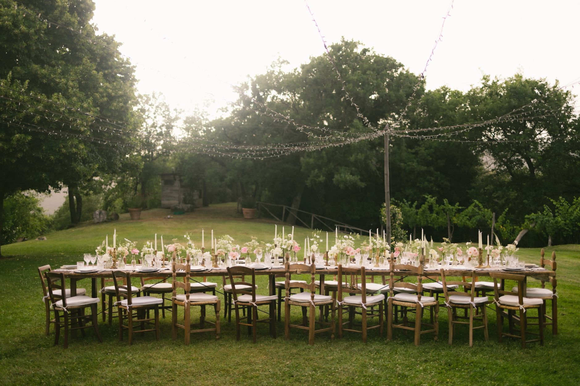 The Ceremony and a Vineyard Reception