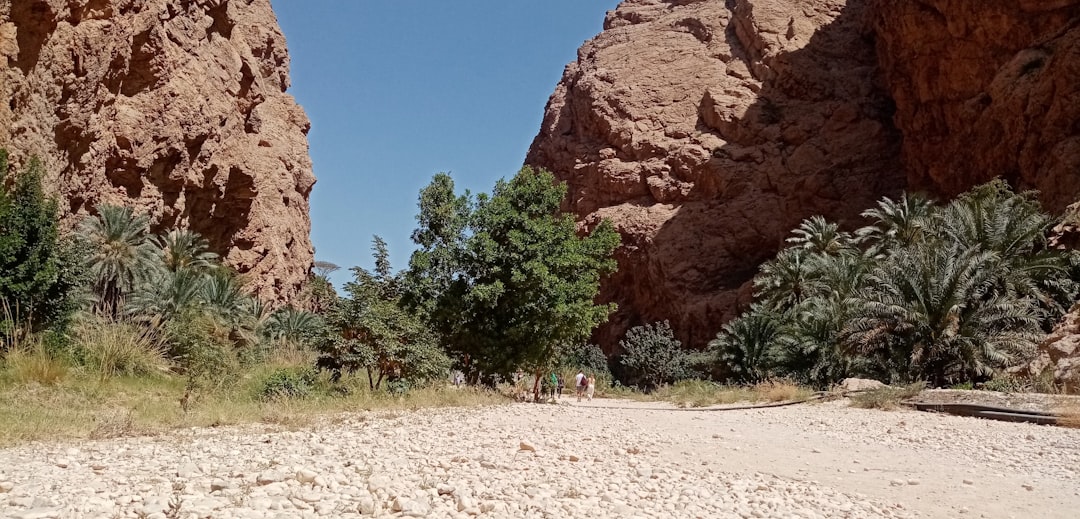 Wadi Shab's pools fill reliably in winter, creating swimmable routes through date palm canyons near Muscat.