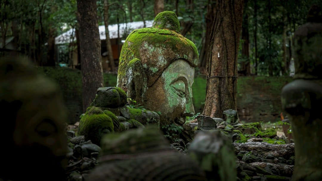 Wat Umong's Forest Tunnels