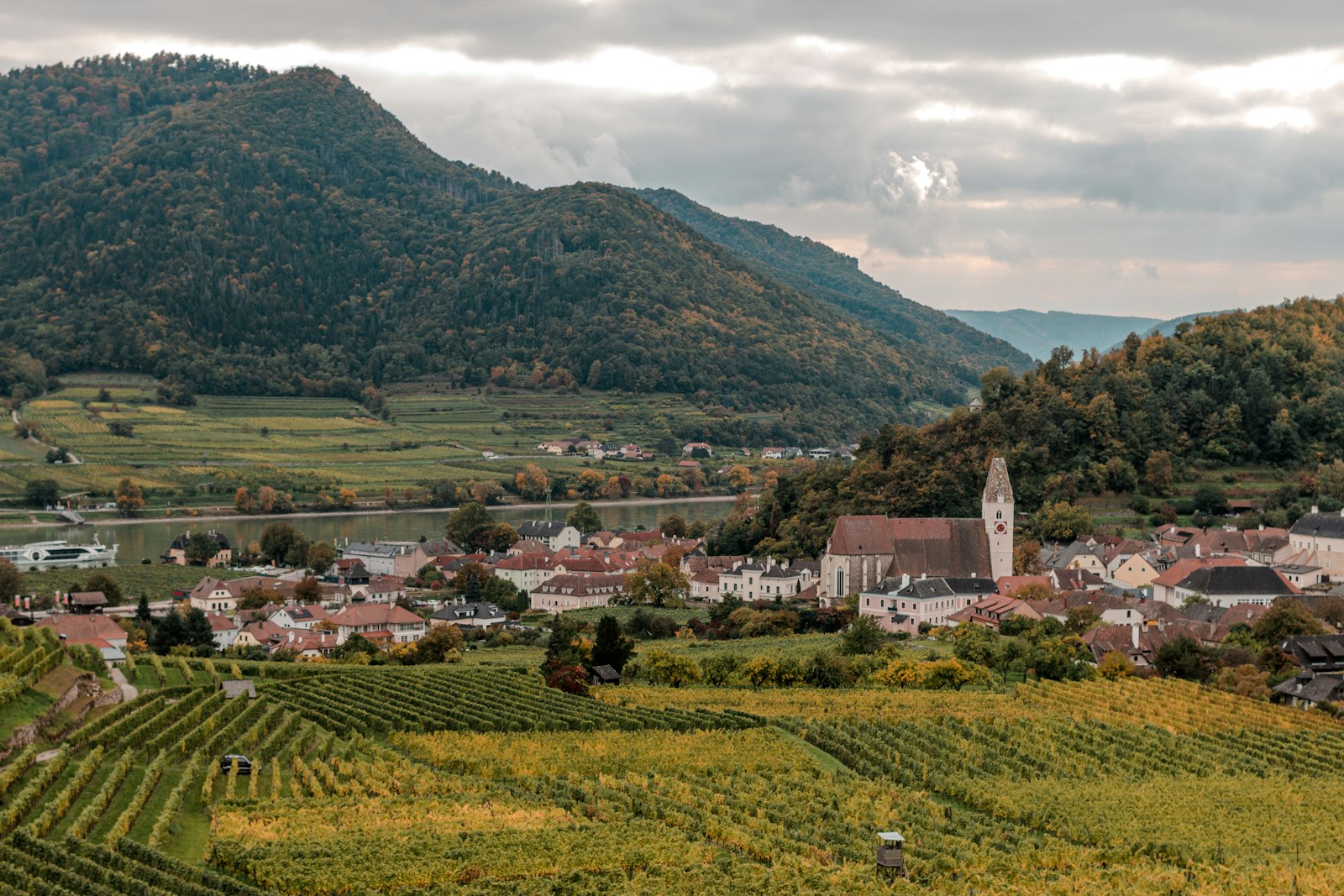 Weissenkirchen in der Wachau — Peak Spring Timing for the Apricot Blossom