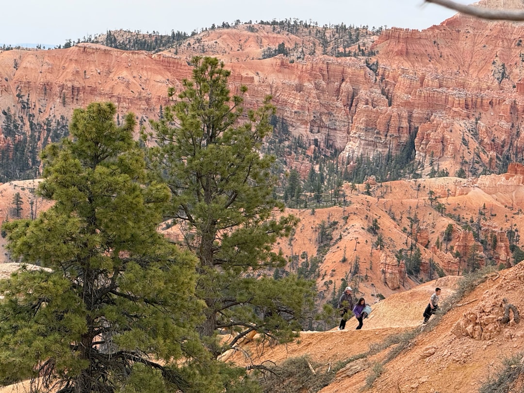 White House Trail on Foot, Then East to Window Rock