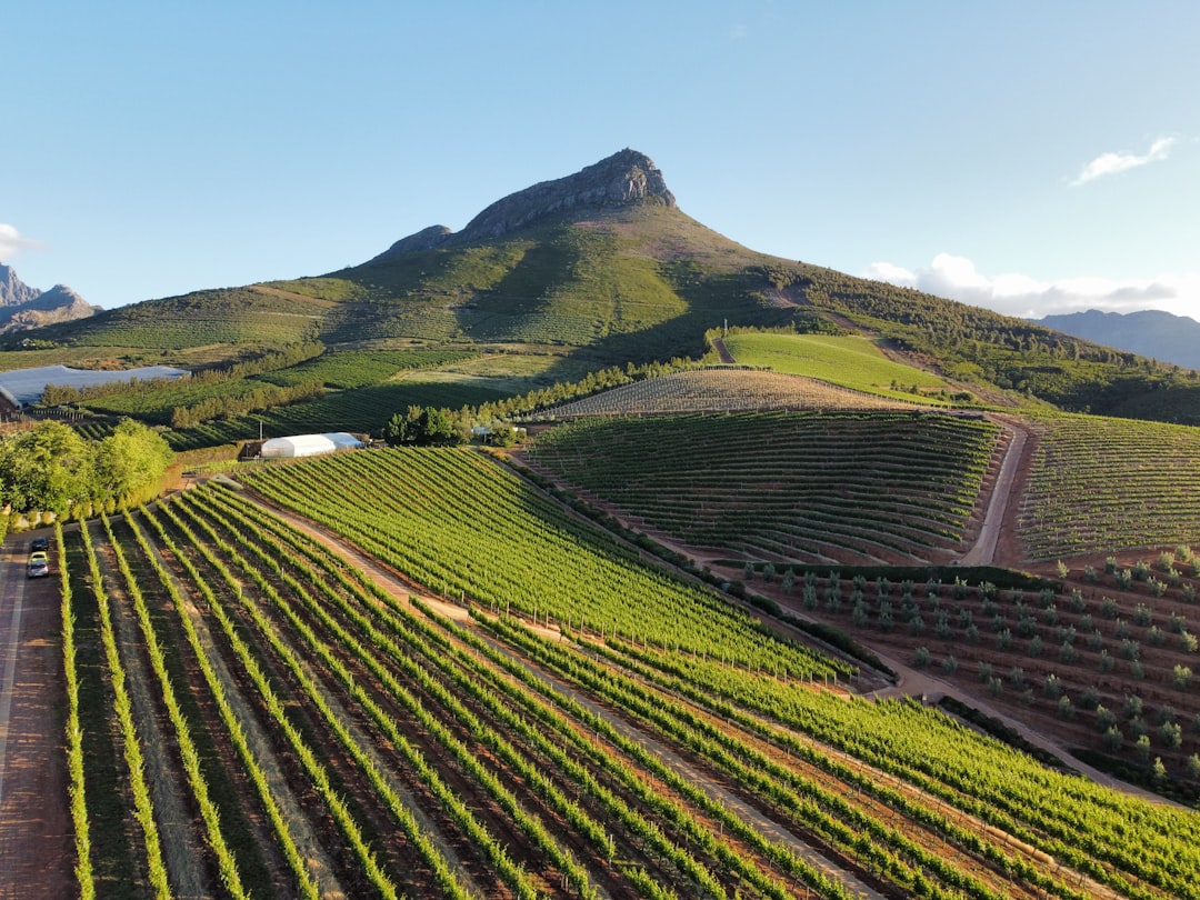 The Full Circuit: Pinotage, Chocolate and the Helshoogte Pass