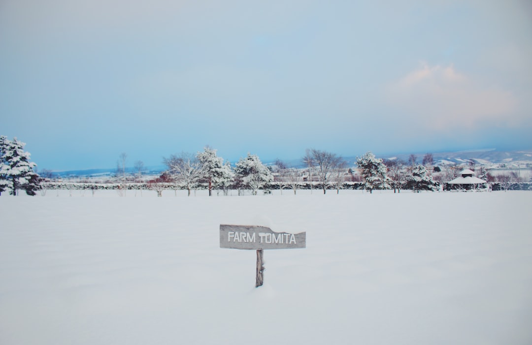 Winter landscape of Hokkaido with deep snow covering villages and forests