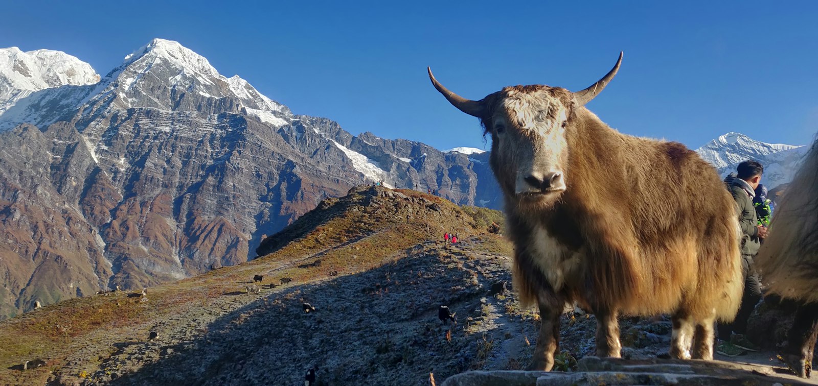 Manang to Yak Kharka — Trees Disappear, the Valley Opens