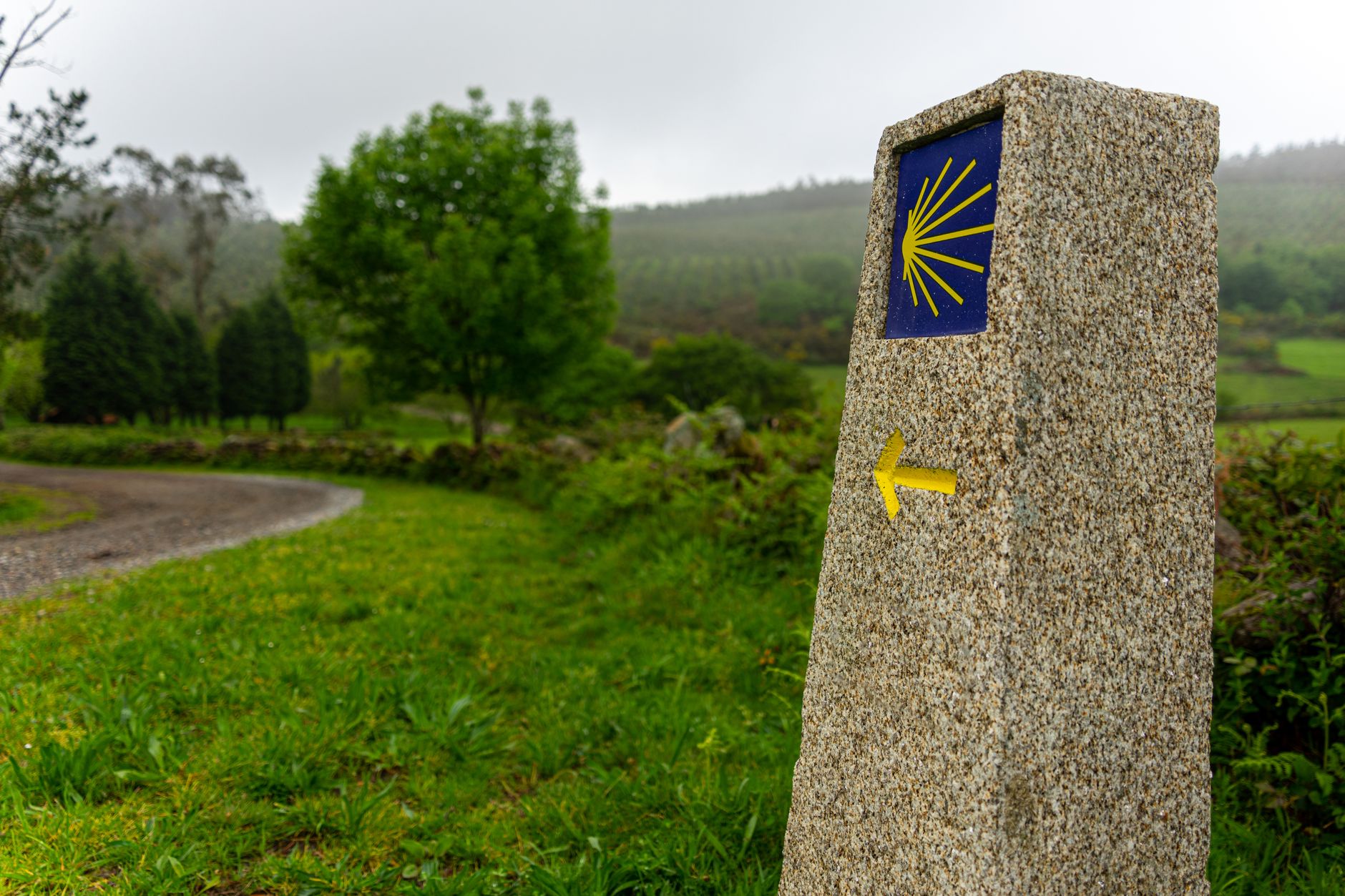 Yellow arrow and scallop shell Camino de Santiago waymark on a stone wall in Galicia