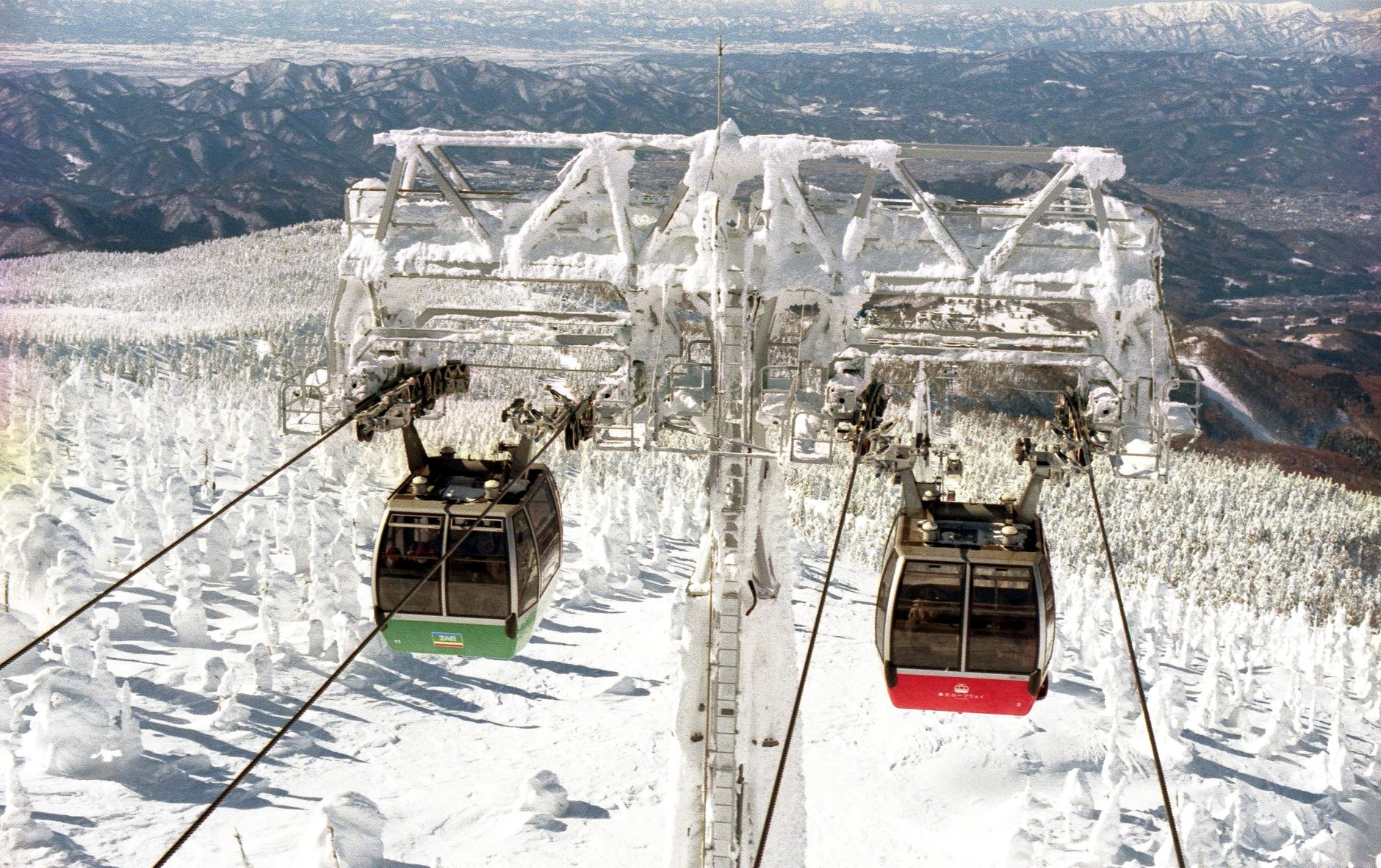 The Snow Monsters of Zao Onsen, Yamagata Prefecture