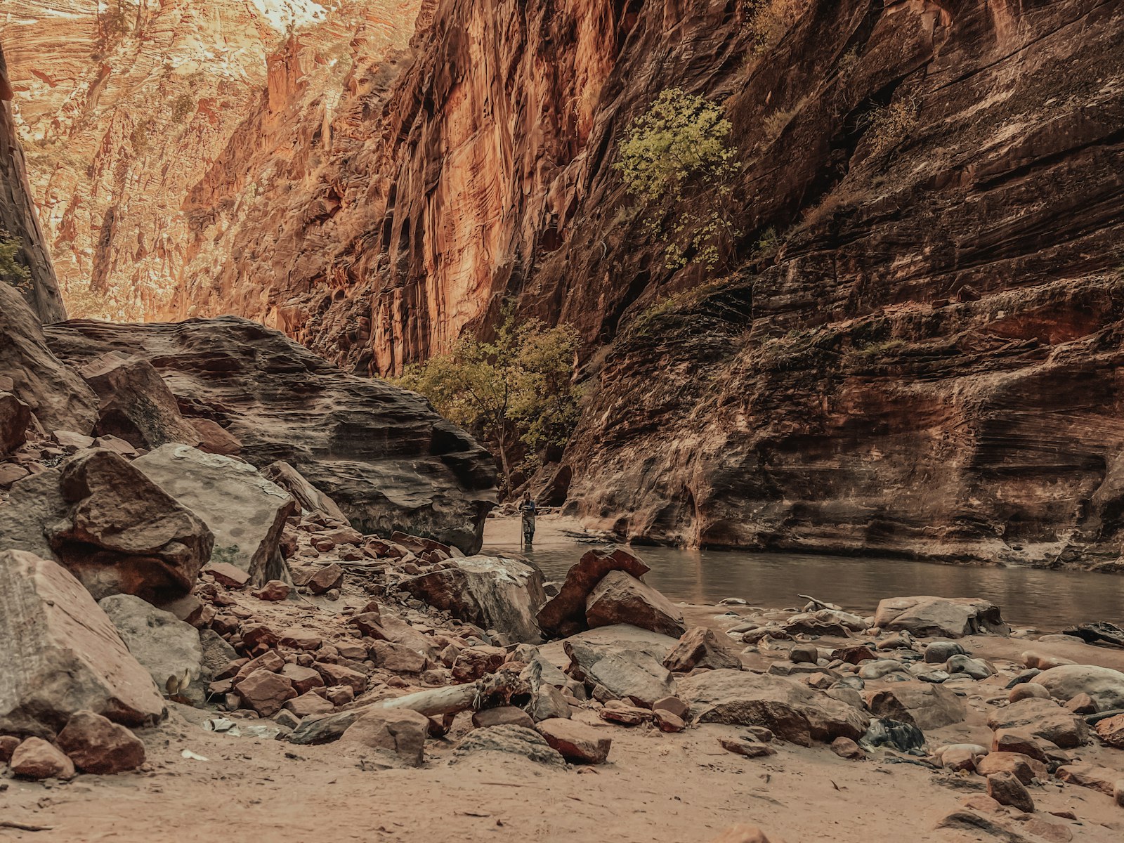 Zion Canyon: Shuttle Mornings and Narrows Wading