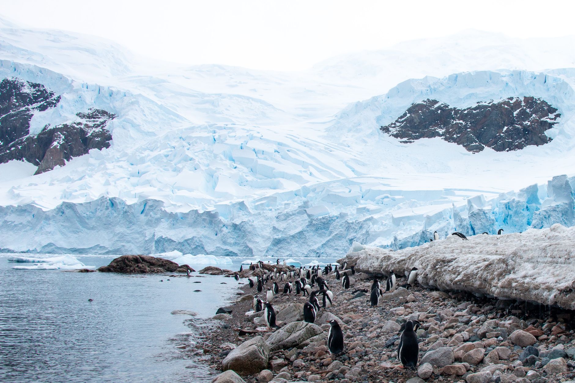 Zodiac Wildlife Cruising Past Waterboat Point and Almirante Brown