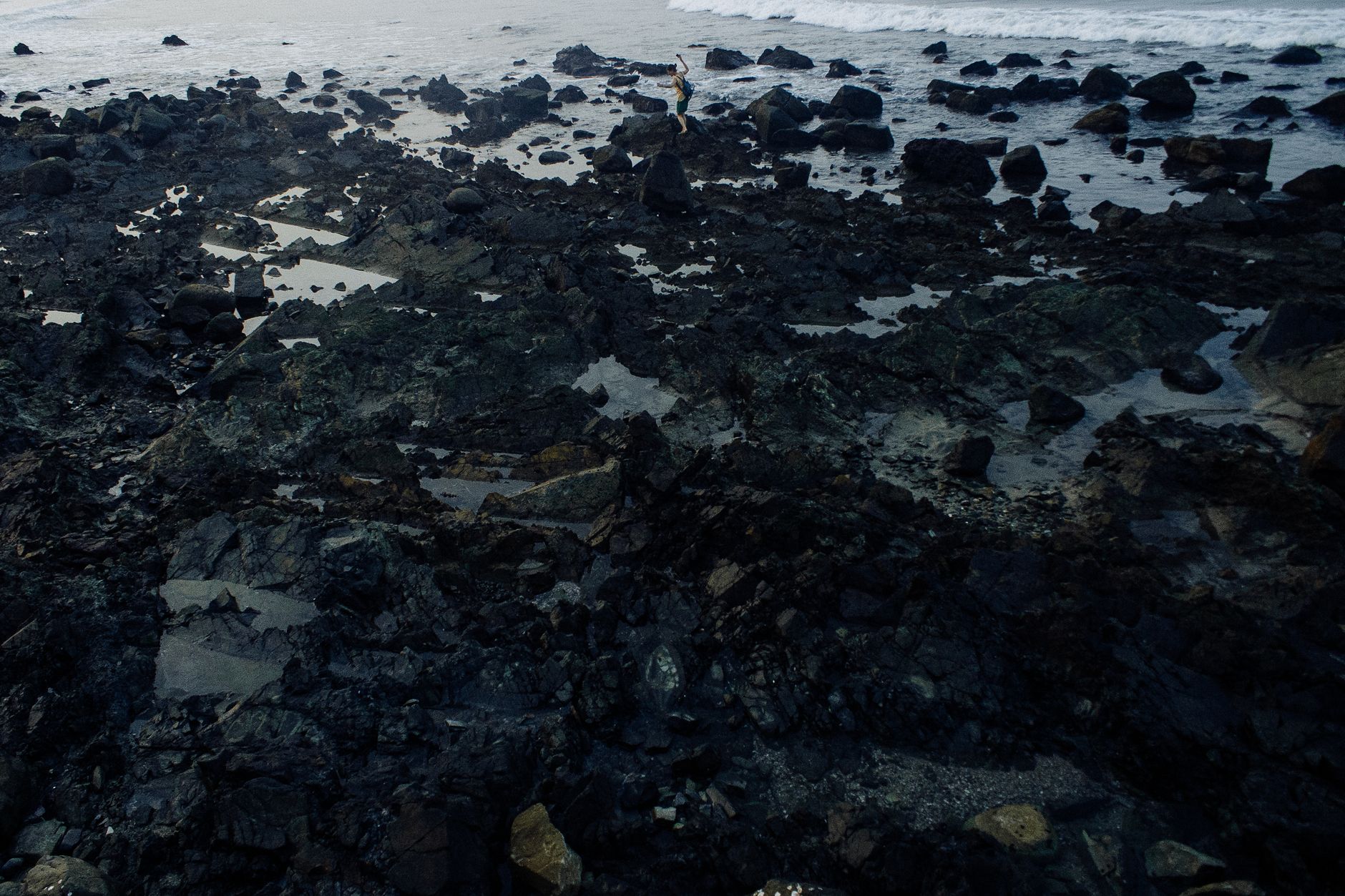 Tender Day at Tristan da Cunha